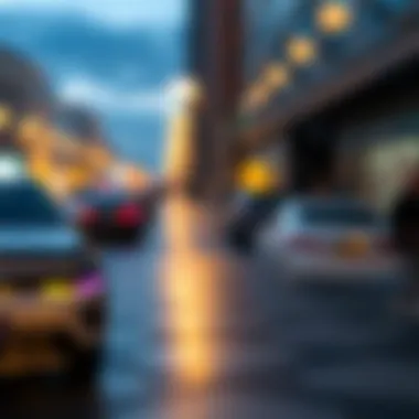 An Exhaustive Examination of Ripple Wallets: Mechanisms, Benefits, and Future Prospects Summary