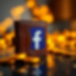 Examining Facebook's Role in Wallet Advertisement within the Cryptocurrency Sphere Introduction