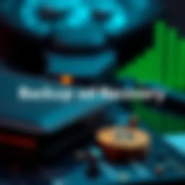 A visual representation of backup and recovery options for cryptocurrency wallets.