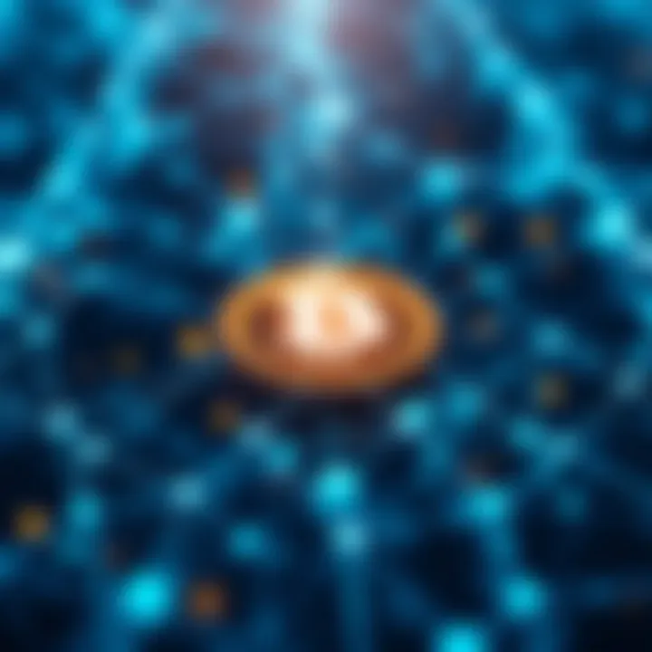 Blockchain network demonstrating connectivity and information flow