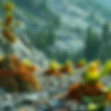 Environmental Consequences of Mining Nature affected by mining operations