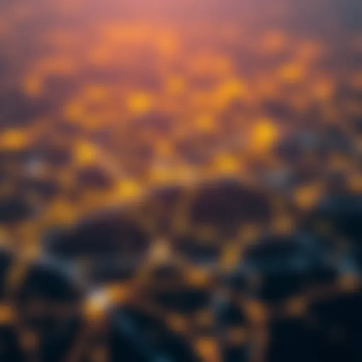 Navigating the Virtual Address Landscape Summary