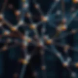 Interconnected Nodes of Shamir's Secret Sharing A visual representation of Shamir's Secret Sharing with interconnected nodes