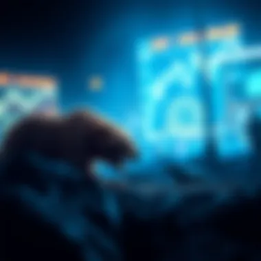 Visual representation of historical bear market examples in crypto