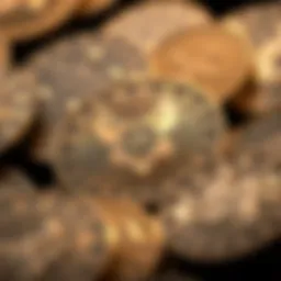 A close-up view of hero coins with intricate designs