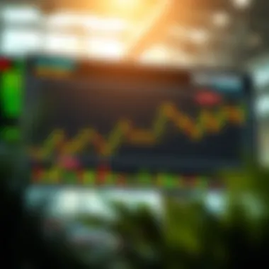 Investment Strategies in Focus Chart illustrating investment strategies